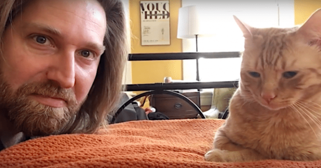 Месть коту, который будит каждый день в 4 утра (видео)