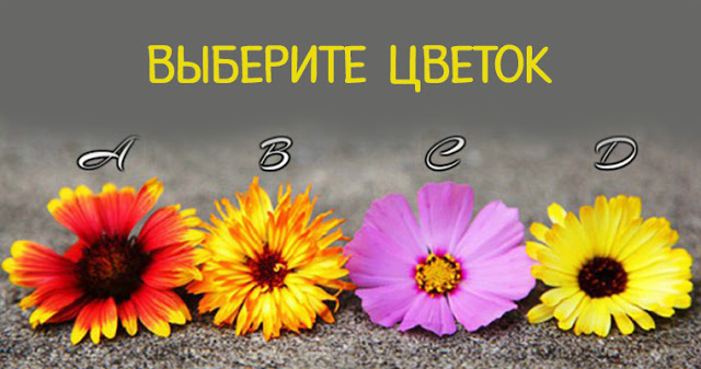 Выберите цветок и получите мощное послание!