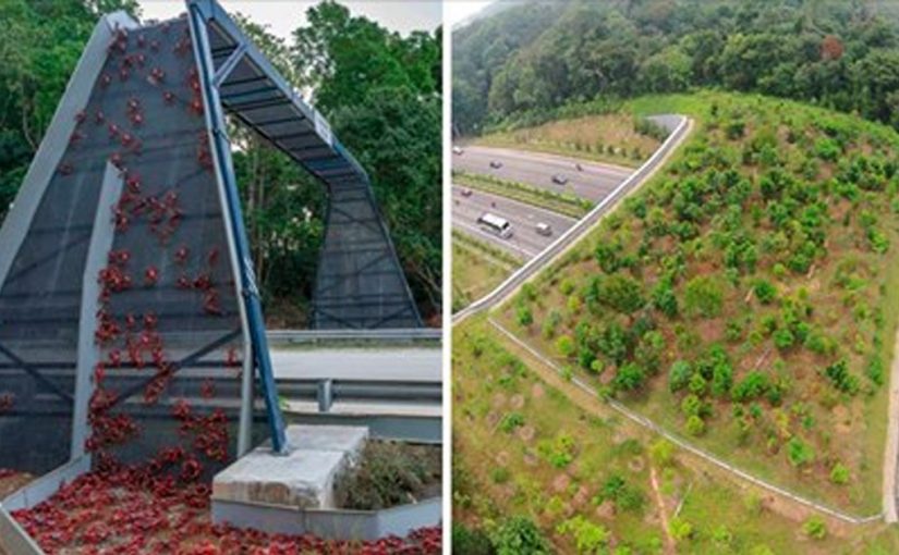 20 потрясающих мостов, которые спасают тысячи жизней ежегодно (20 фото)